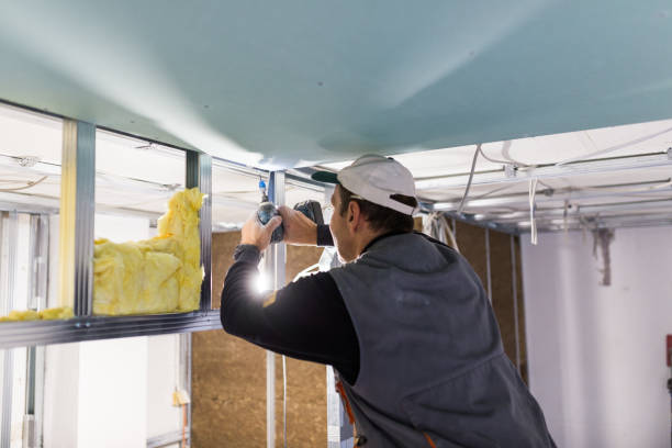 Best Insulation Materials and Products in Waukesha, WI